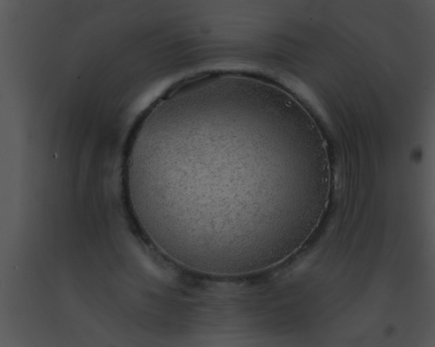 X0000091550436200708311357