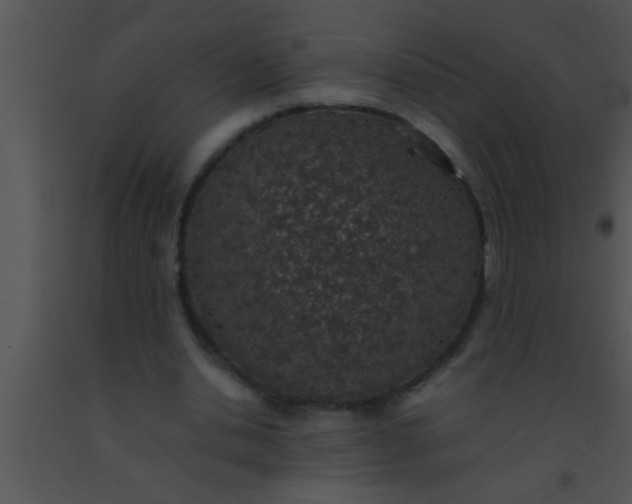 X0000091550438200708311357