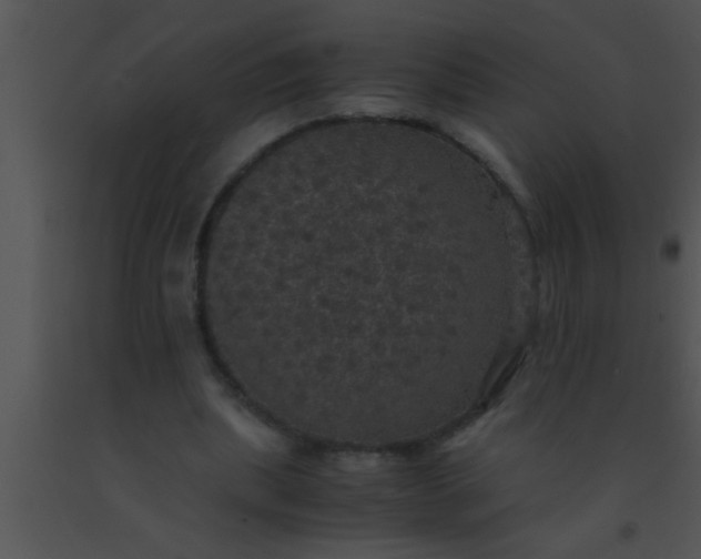 X0000091550439200708311357