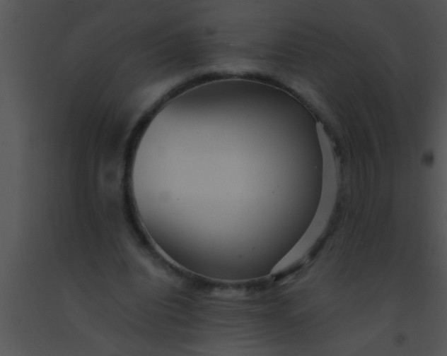 X0000091550440200708311357