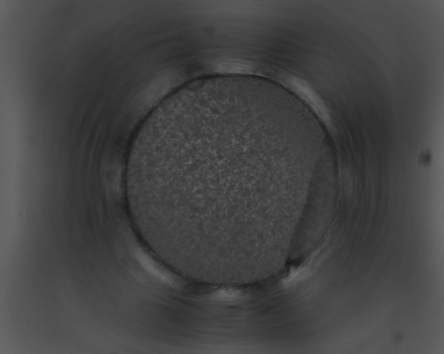 X0000091550441200708311357