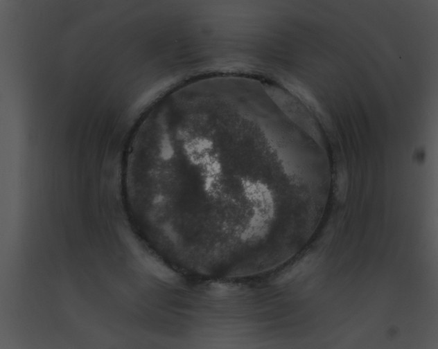 X0000091550442200708311357
