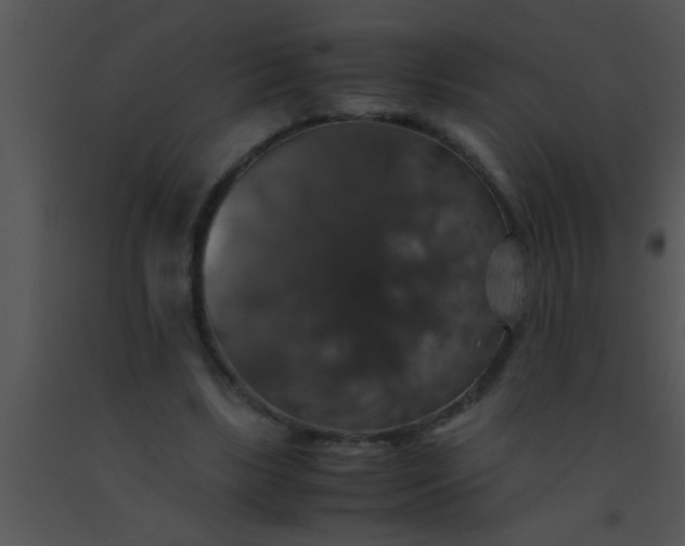 X0000091550443200708311357