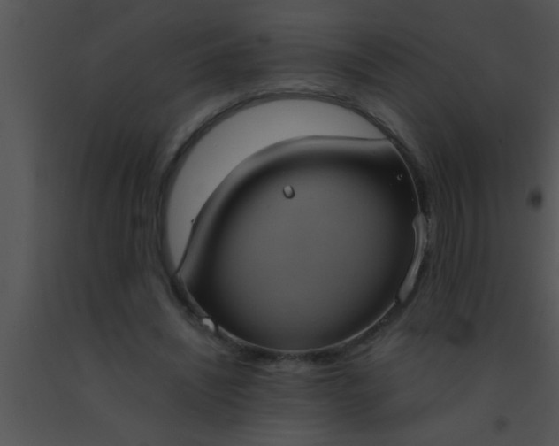 X0000091550444200708311357