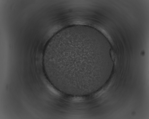 X0000091550445200708311358