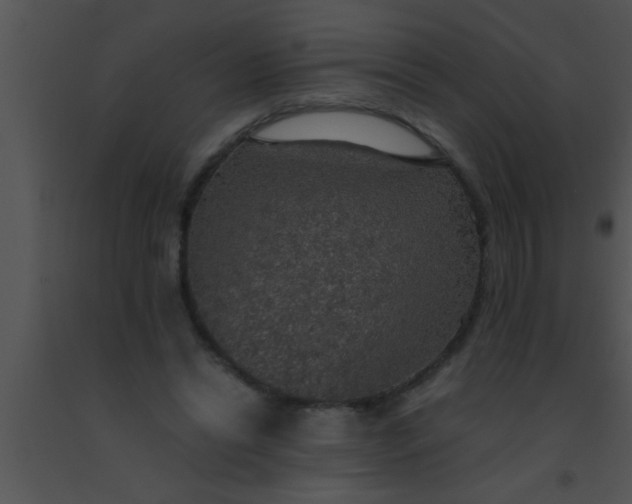X0000091550446200708311358