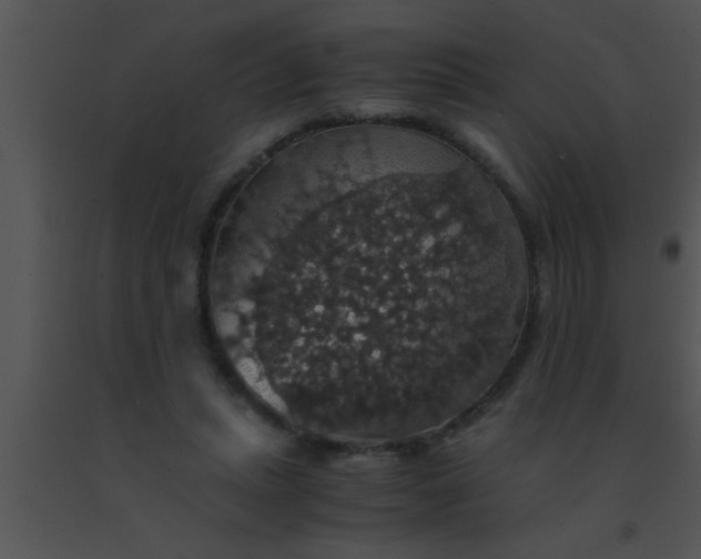 X0000091550447200708311358