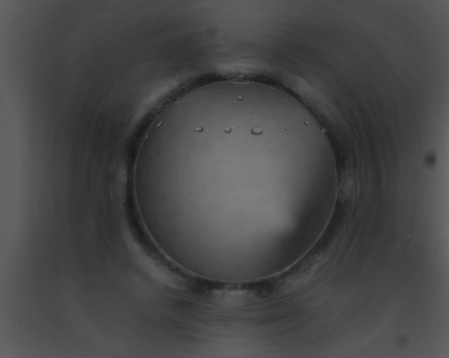 X0000091550448200708311358