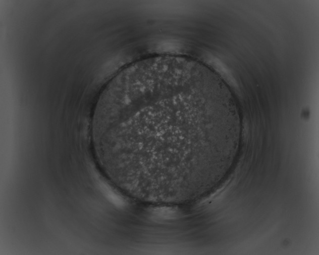 X0000091550449200708311358