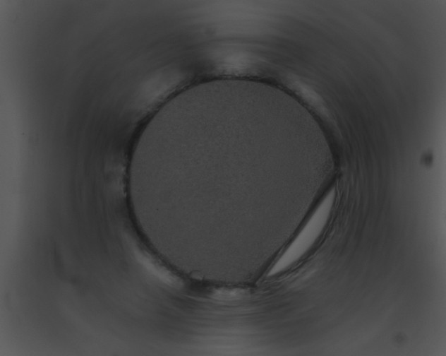 X0000091550450200708311358