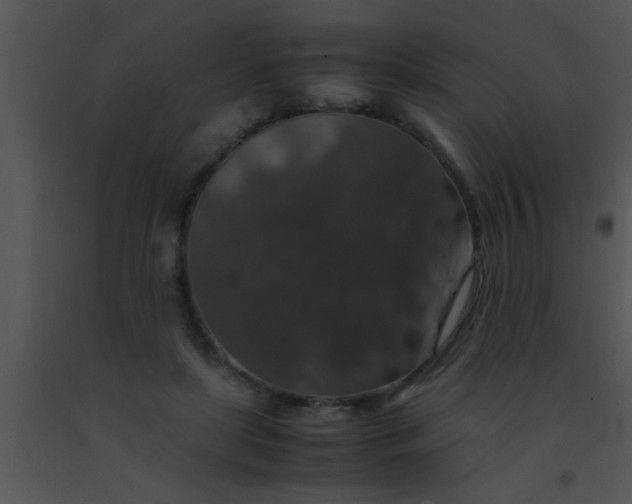 X0000091550451200708311358