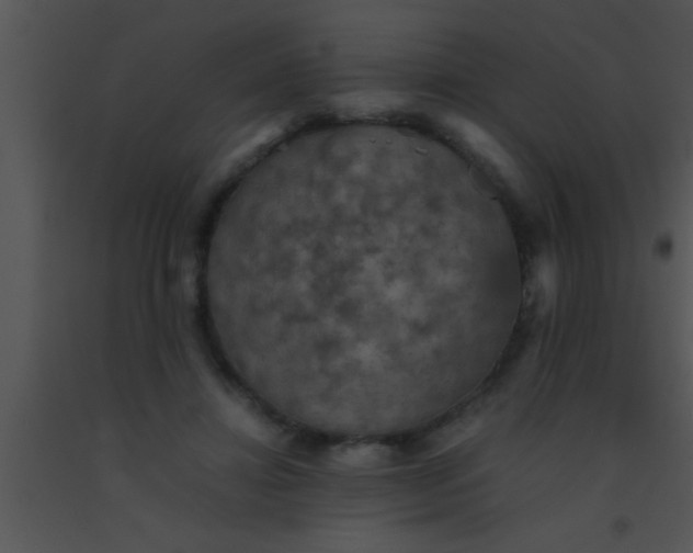 X0000091550452200708311358