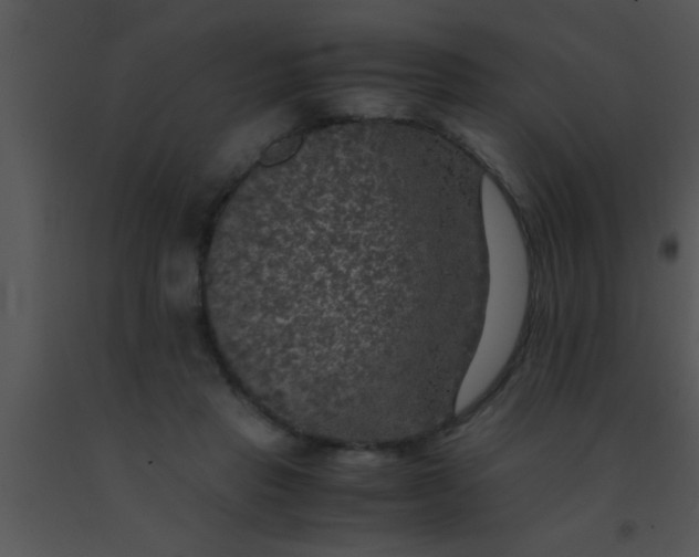 X0000091550453200708311358