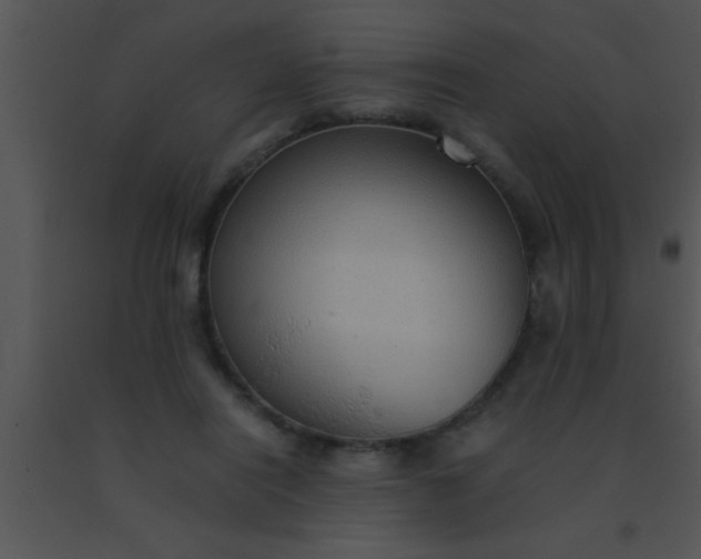 X0000091550454200708311358