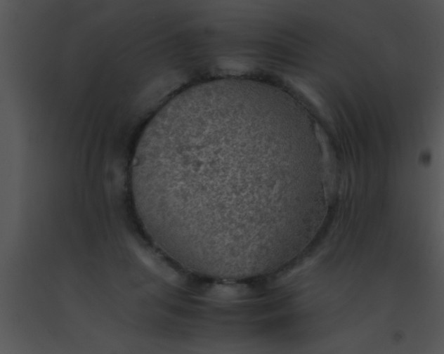 X0000091550455200708311358