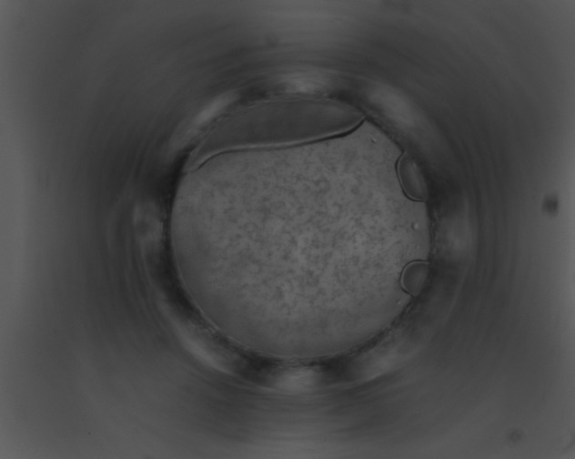 X0000091550456200708311358