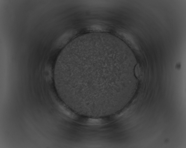 X0000091550457200708311358