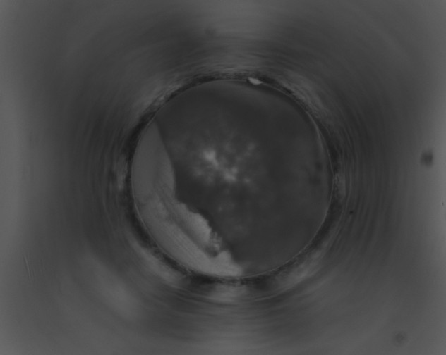 X0000091550458200708311358