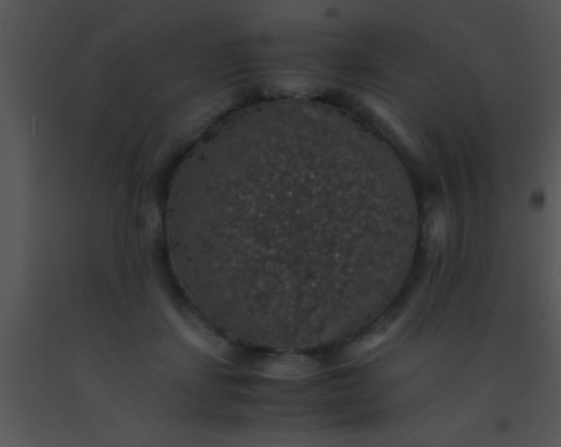 X0000091550459200708311358