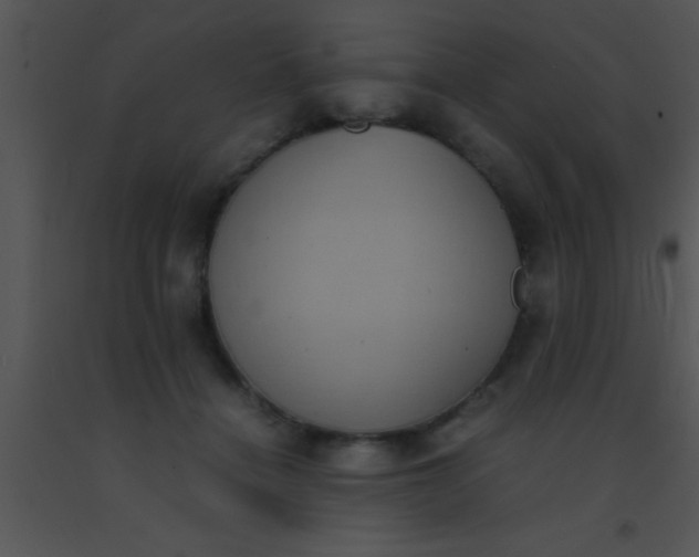 X0000091550460200708311358