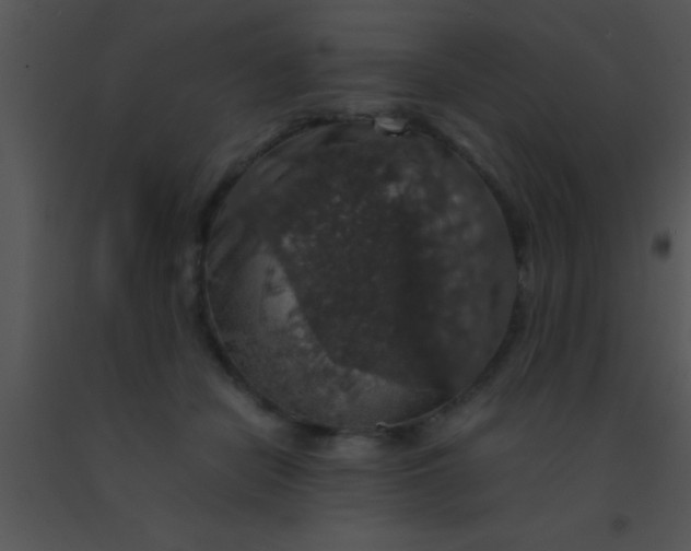 X0000091550462200708311358
