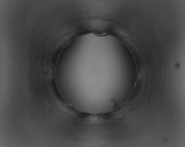 X0000091550464200708311358