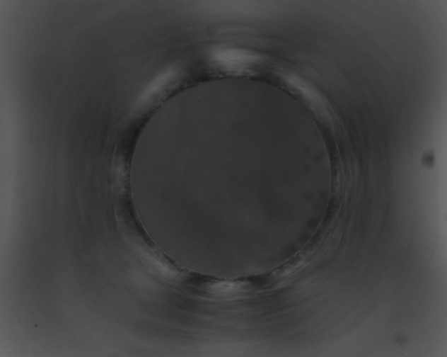 X0000091550465200708311358