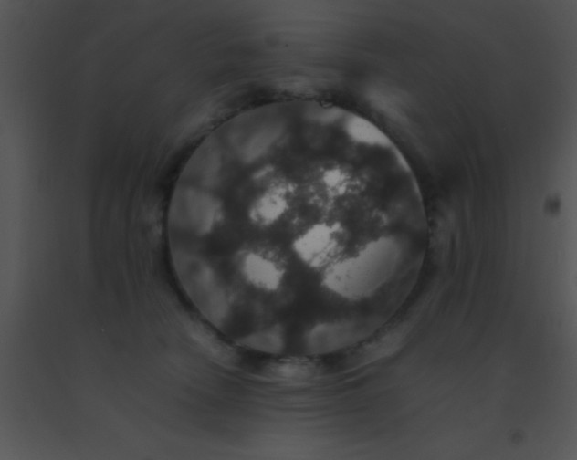 X0000091550466200708311358