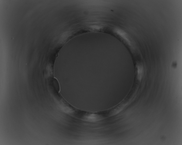 X0000091550467200708311358