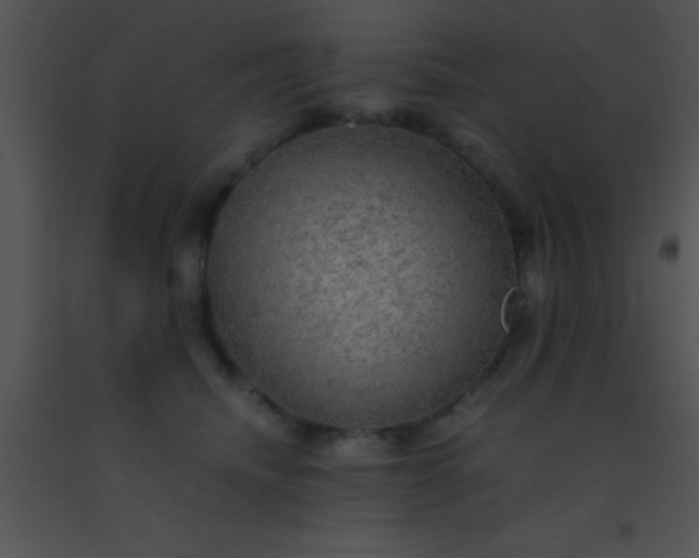 X0000091550468200708311358