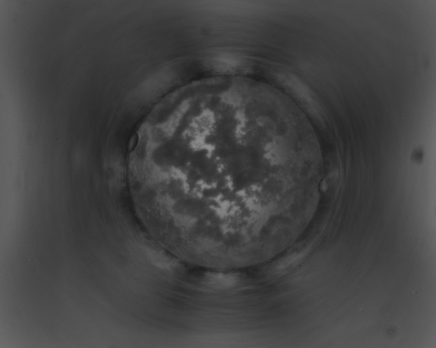 X0000091550469200708311358