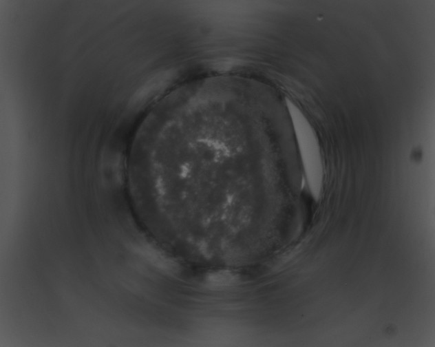 X0000091550470200708311358