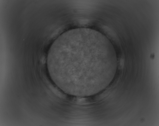 X0000091550472200708311358