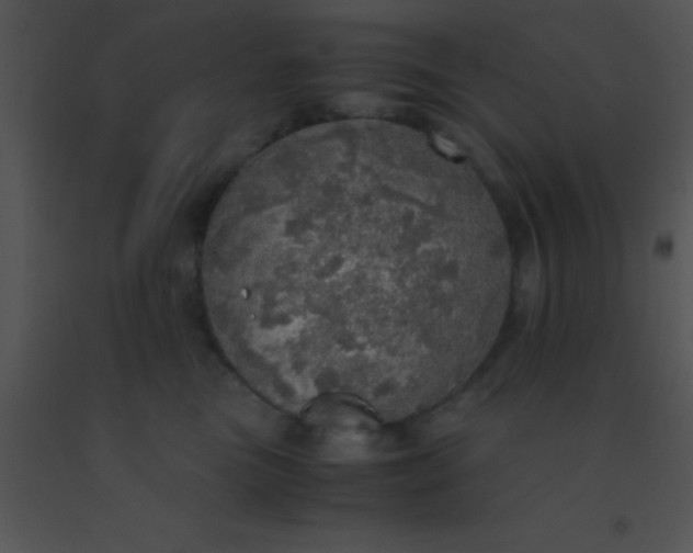 X0000091550473200708311358