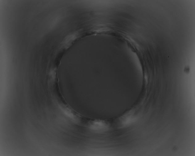X0000091550475200708311358