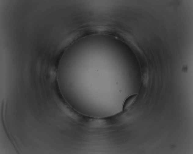 X0000091550476200708311358