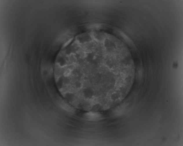 X0000091550477200708311358