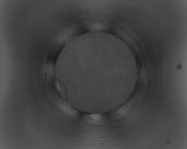 X0000091550478200708311358