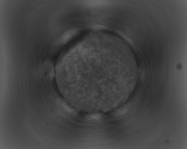 X0000091550479200708311358