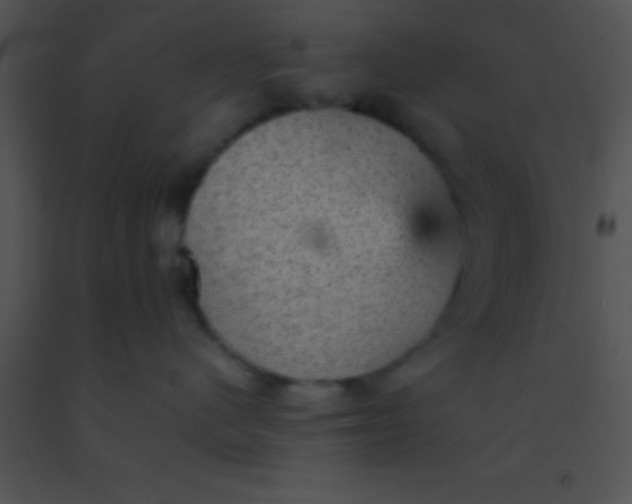 X0000091550480200708311358
