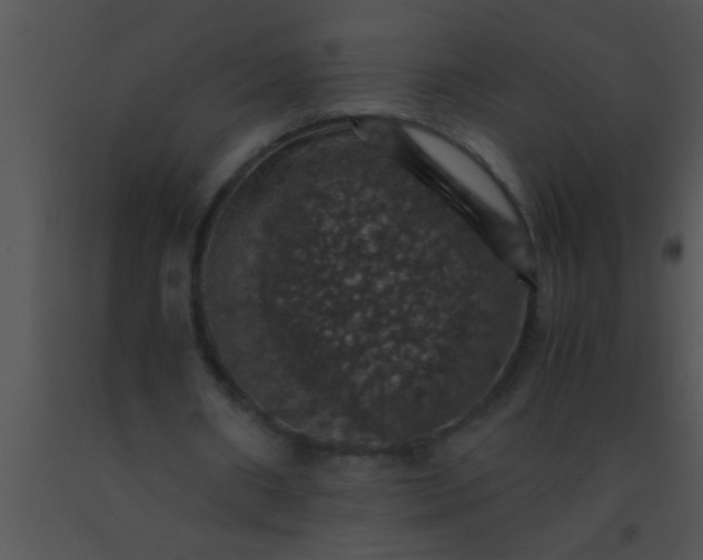 X0000091550482200708311357