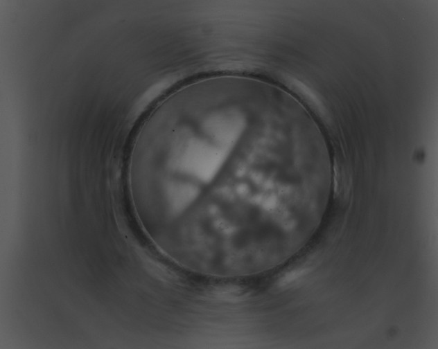 X0000091550483200708311357