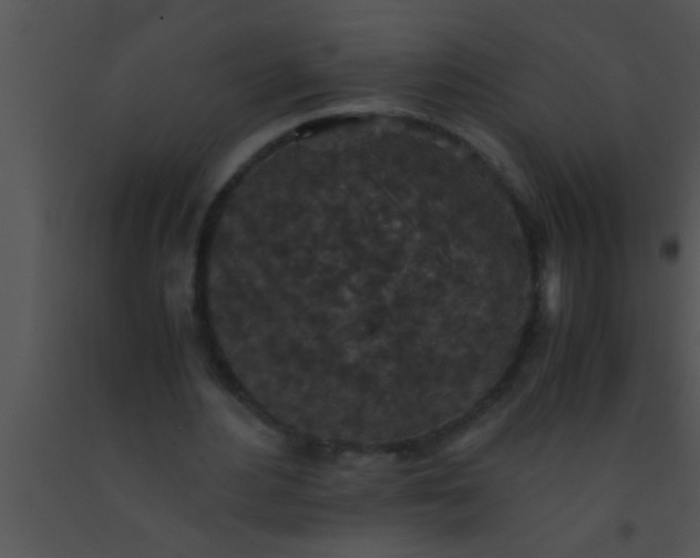X0000091550484200708311357
