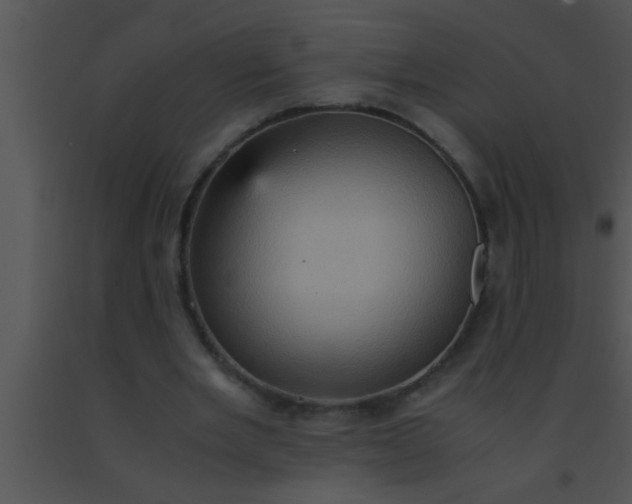 X0000091550485200708311357