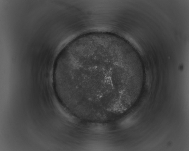 X0000091550486200708311357
