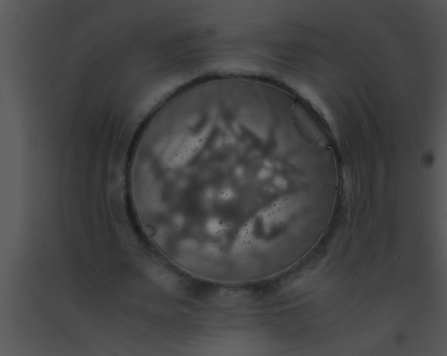 X0000091550487200708311357