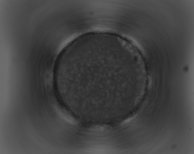 X0000091550488200708311357