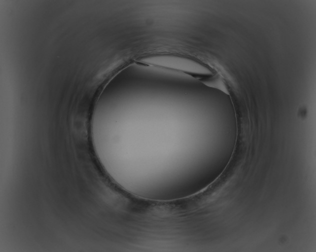 X0000091550489200708311357
