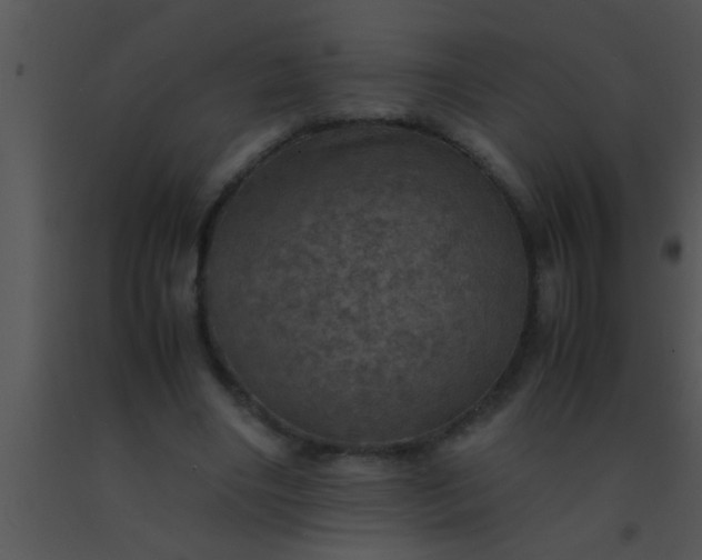 X0000091550490200708311357
