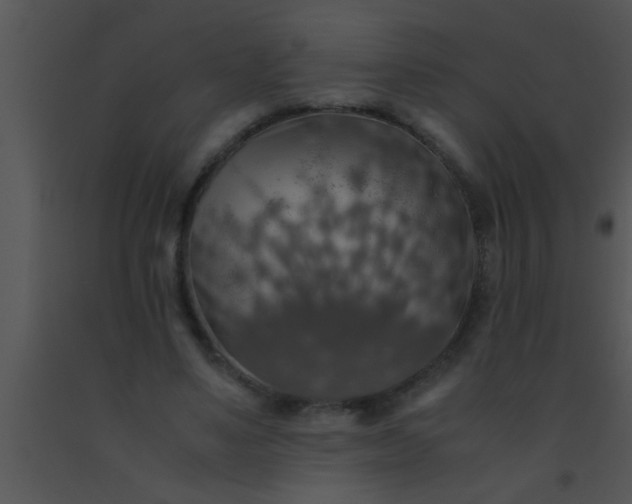 X0000091550491200708311357